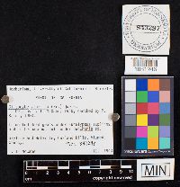 Image Associated With the Occurrence