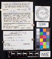 Image Associated With the Occurrence