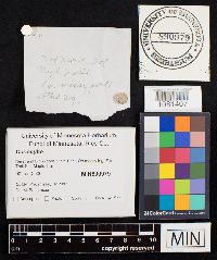 Image Associated With the Occurrence