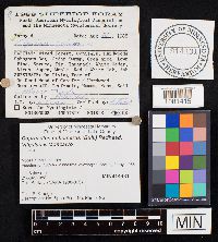 Image Associated With the Occurrence