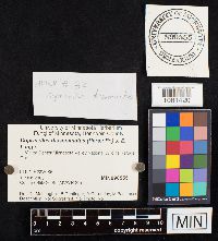 Image Associated With the Occurrence