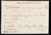 Coprinellus ephemerus image