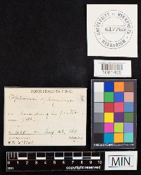 Image Associated With the Occurrence