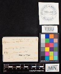 Image Associated With the Occurrence