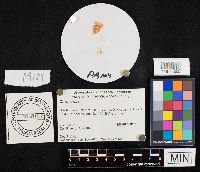 Image Associated With the Occurrence