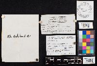 Image Associated With the Occurrence