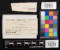 Image Associated With the Occurrence