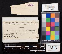 Image Associated With the Occurrence