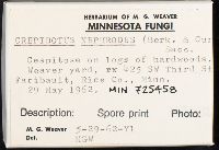 Crepidotus nephrodes image