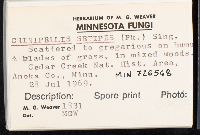 thumbnail image of current specimen