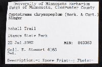 Cyptotrama asprata image