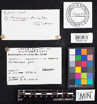 Image Associated With the Occurrence