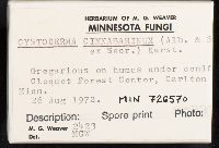 Cystodermella cinnabarina image