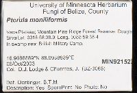 thumbnail image of current specimen