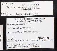 Image Associated With the Occurrence