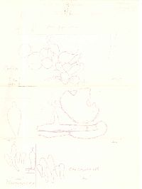 Cystolepiota hetieri image