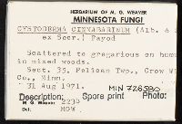 Cystodermella cinnabarina image