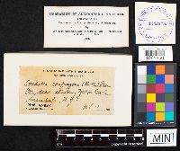 Image Associated With the Occurrence