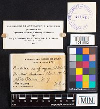 Image Associated With the Occurrence