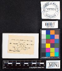 Image Associated With the Occurrence