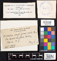 Image Associated With the Occurrence