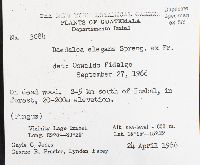 Lenzites elegans image