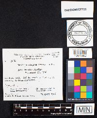 Image Associated With the Occurrence