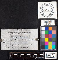 Image Associated With the Occurrence