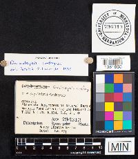 Image Associated With the Occurrence