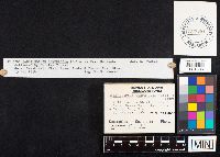 Image Associated With the Occurrence