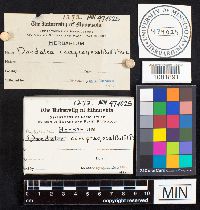 Image Associated With the Occurrence