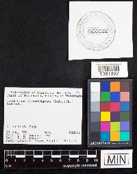 Image Associated With the Occurrence