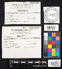 Image Associated With the Occurrence