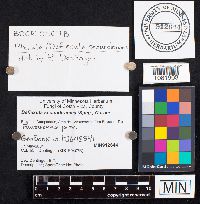 Image Associated With the Occurrence