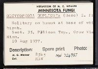 thumbnail image of current specimen