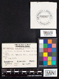 thumbnail image of current specimen