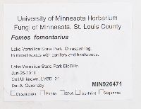 Fomes fomentarius image