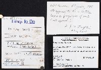 Fomes fomentarius image