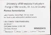 Fomes fomentarius image