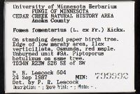 Fomes fomentarius image