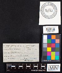 Image Associated With the Occurrence