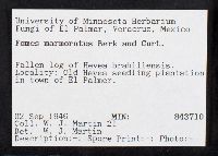 Image Associated With the Occurrence