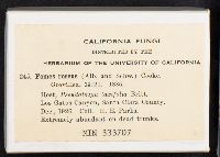 Fomitopsis rosea image