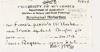 Fomitopsis pinicola image