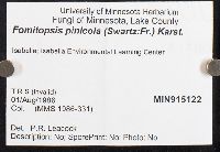 Fomitopsis pinicola image