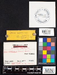 thumbnail image of current specimen