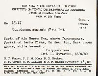 Ganoderma australe image