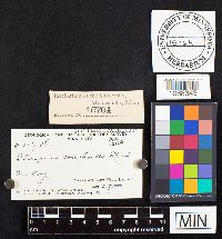 Image Associated With the Occurrence