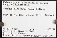 Gomphus floccosus image