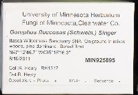 Gomphus floccosus image